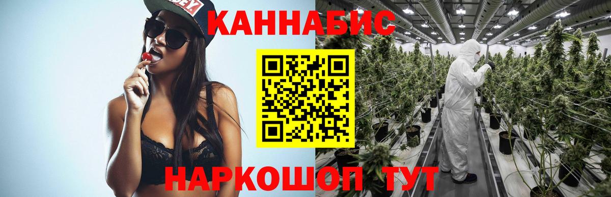 Шишки марихуана индика  Бошки Шишки планчик  МАРИХУАНА сатива  Сарапул  Вход с VPN 